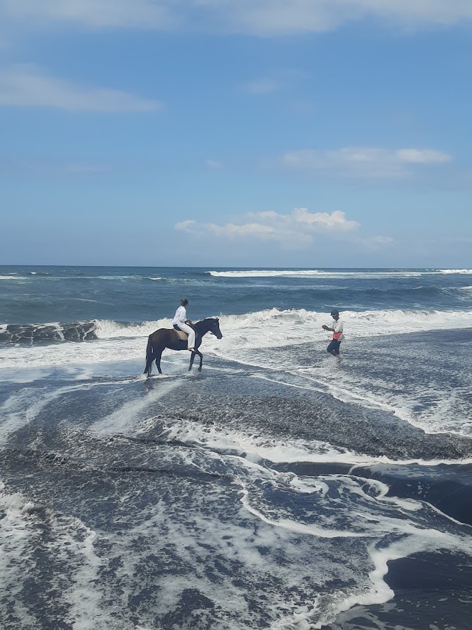 Ubud Horse Riding